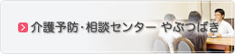 介護予防・相談センターやぶつばき