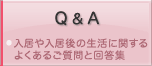 Q&A